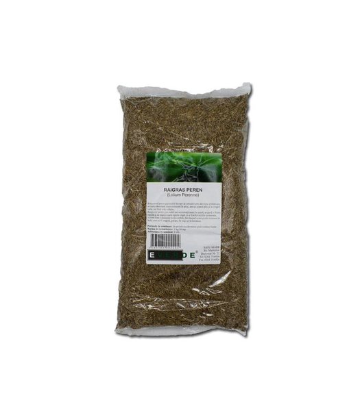 SEMINTE LOLIUM PERENNE CAPRI, 1 KG